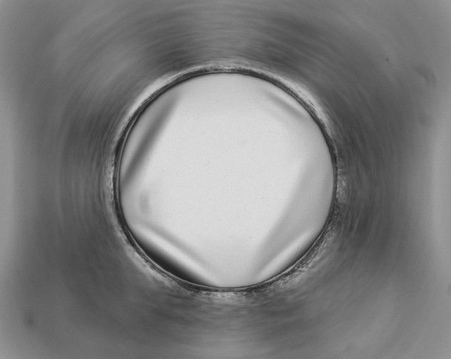 X0000112940903200909211131