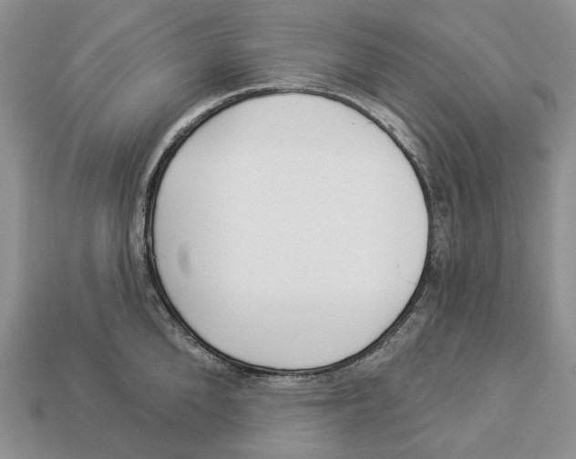 X0000112940904200909211131
