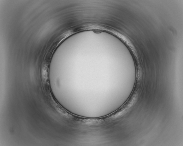 X0000112940905200909211131