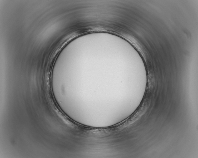 X0000112940906200909211131