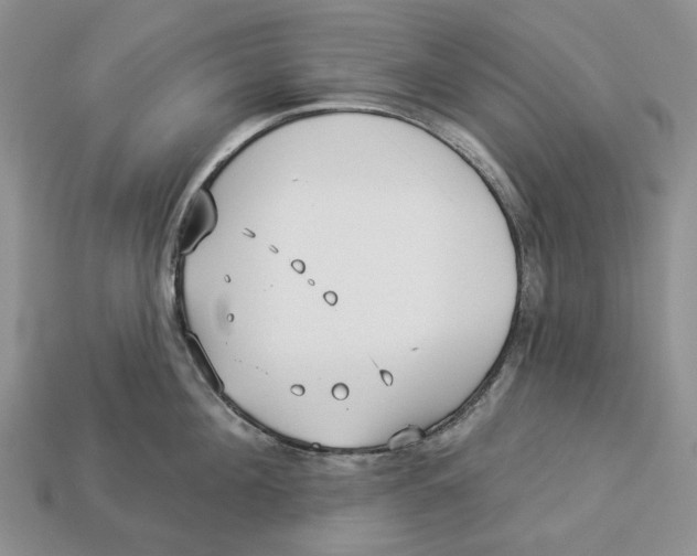 X0000112940908200909211131