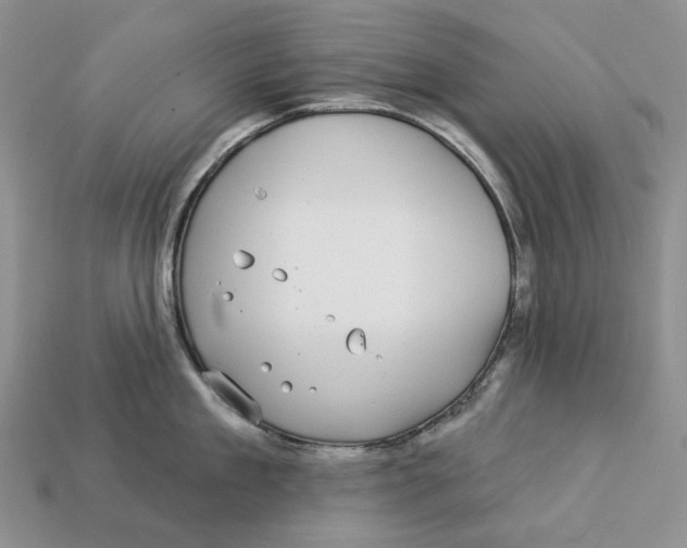 X0000112940909200909211131