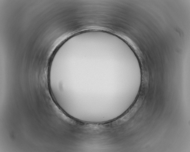 X0000112940910200909211131