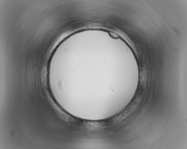 X0000112940911200909211131
