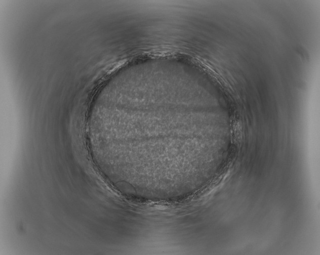 X0000112940913200909211130