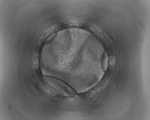 X0000112940916200909211130