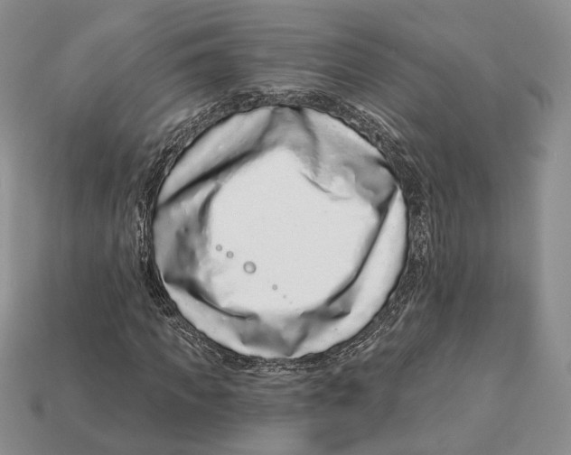 X0000112940917200909211130