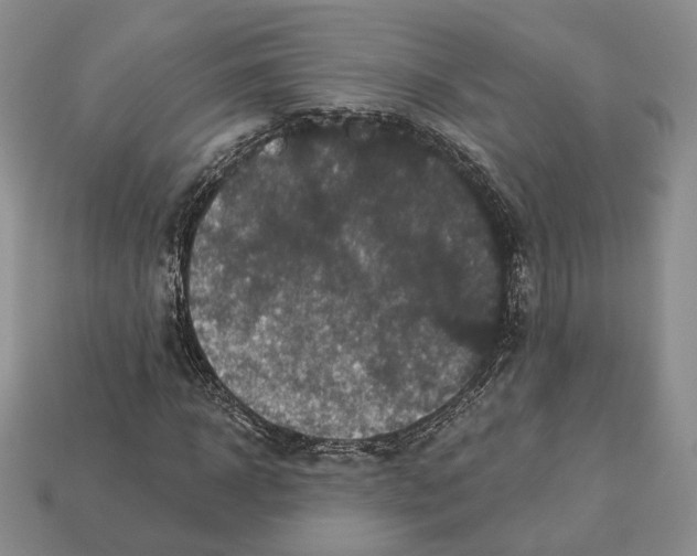 X0000112940918200909211130
