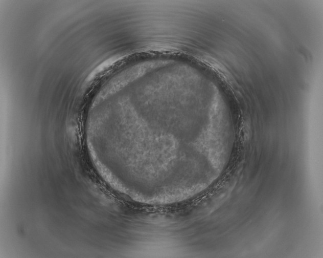 X0000112940920200909211130