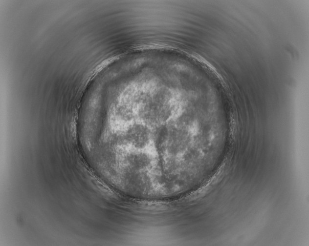 X0000112940921200909211131