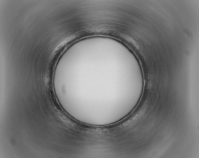 X0000112940922200909211131