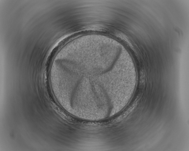 X0000112940923200909211131