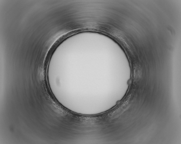 X0000112940924200909211131