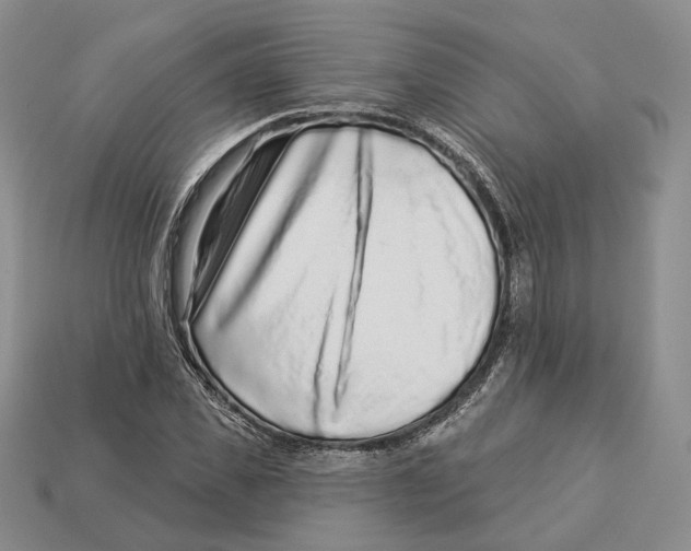 X0000112940925200909211131