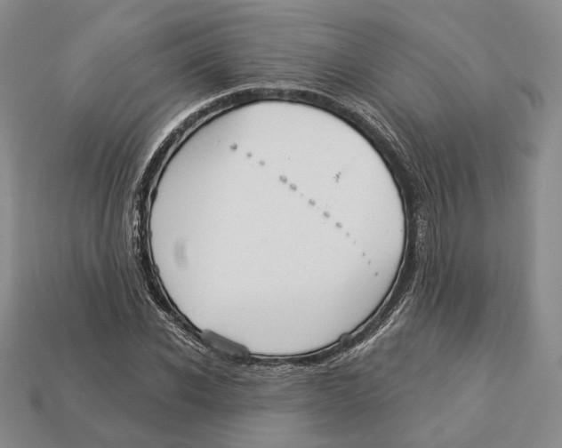 X0000112940926200909211131