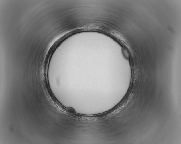 X0000112940928200909211131