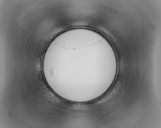 X0000112940929200909211131