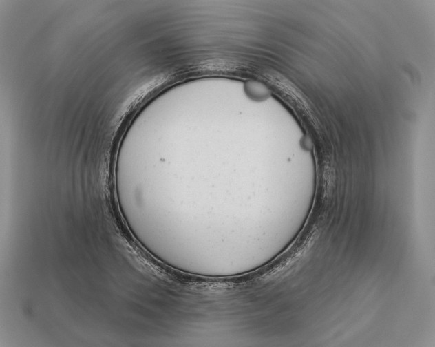 X0000112940930200909211131