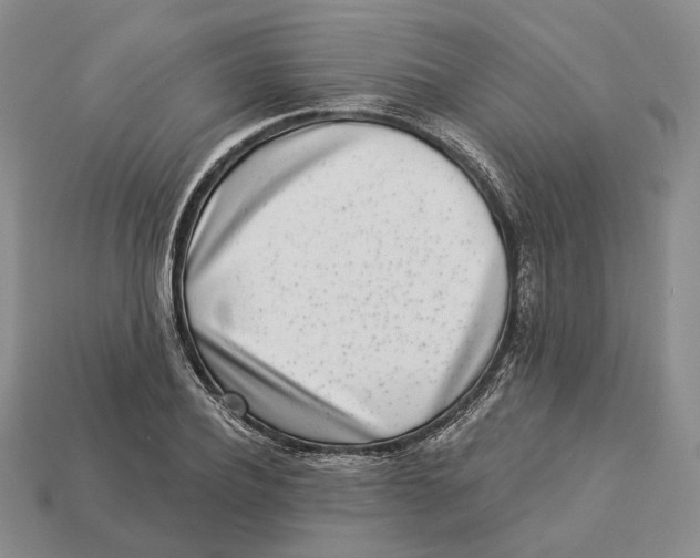 X0000112940932200909211131