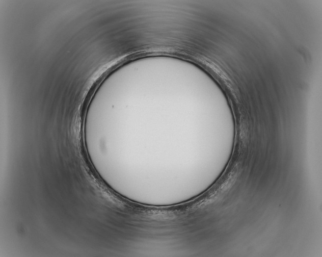 X0000112940933200909211131