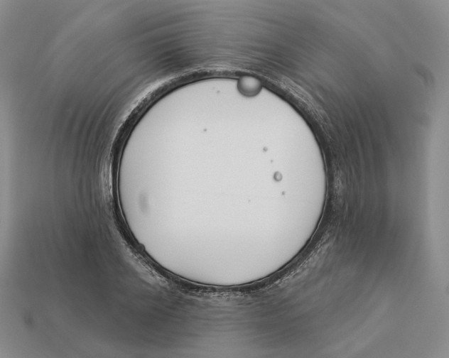 X0000112940934200909211131