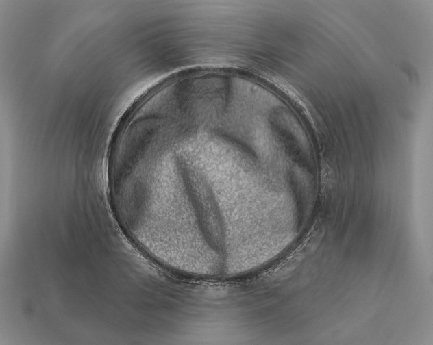 X0000112940935200909211131
