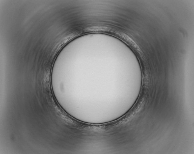 X0000112940937200909211131