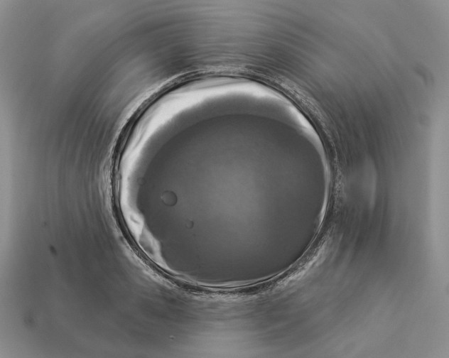 X0000112940941200909211131