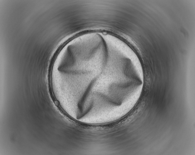 X0000112940943200909211131