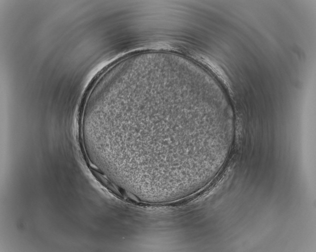 X0000112940944200909211131