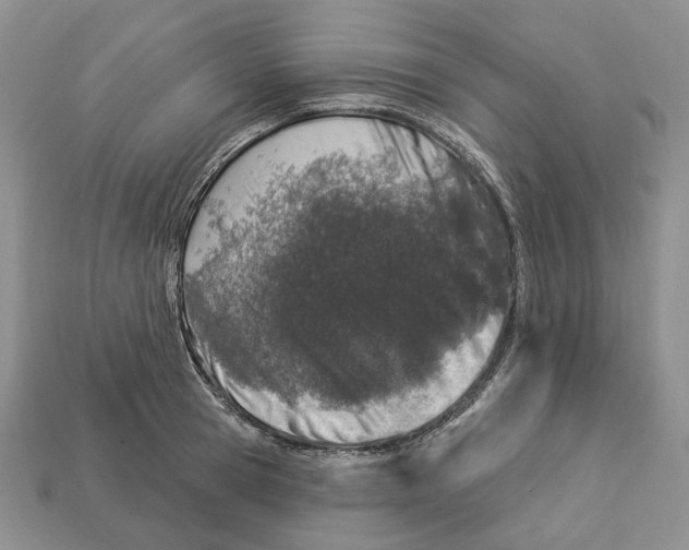 X0000112940945200909211131