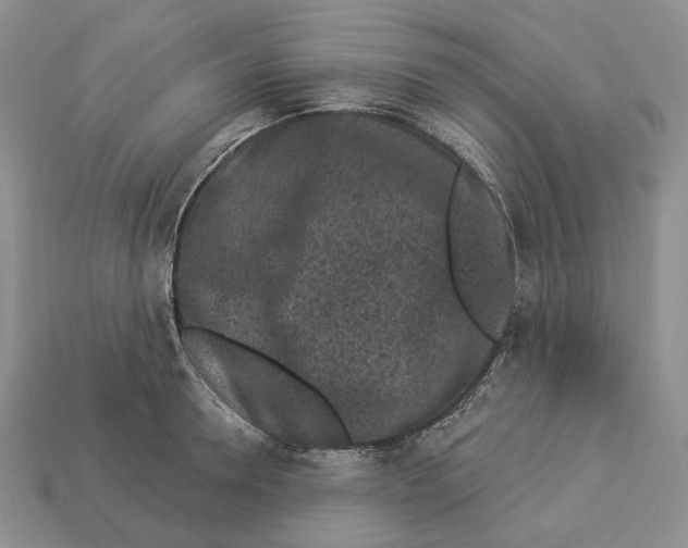 X0000112940946200909211131