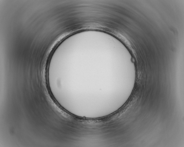 X0000112940947200909211131