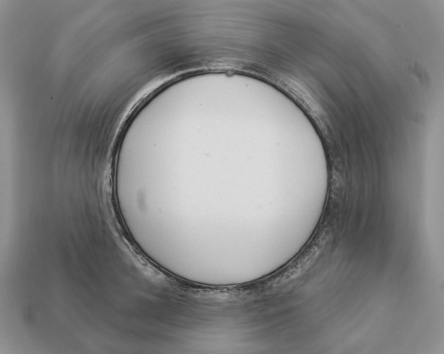 X0000112940948200909211131
