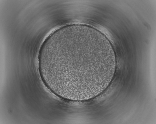X0000112940950200909211131