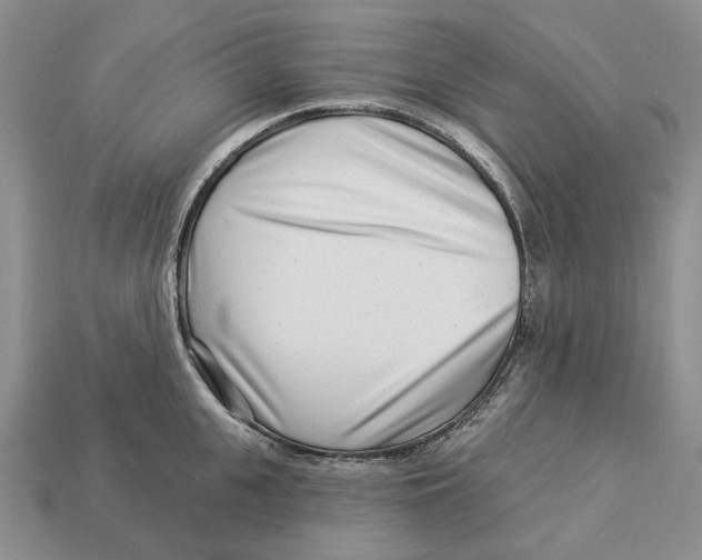 X0000112940951200909211131