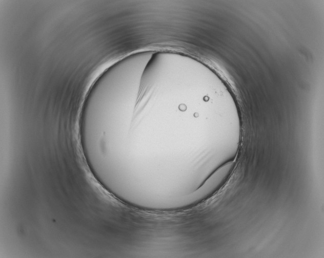 X0000112940952200909211131