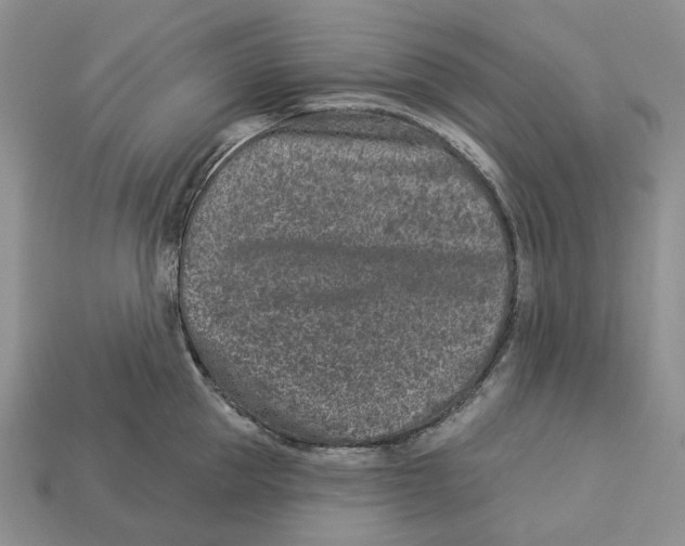 X0000112940953200909211131