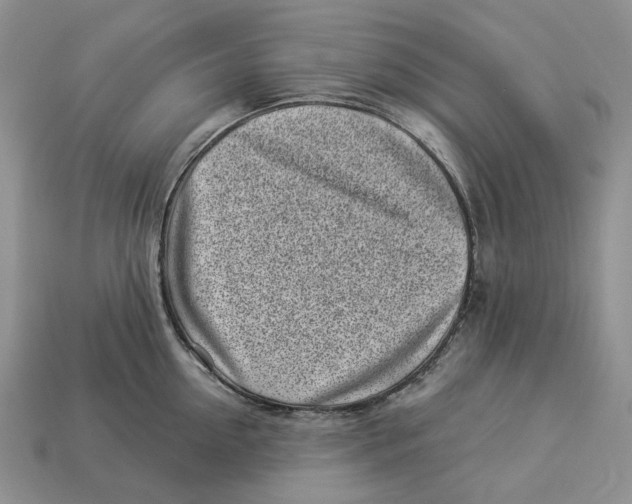 X0000112940954200909211131
