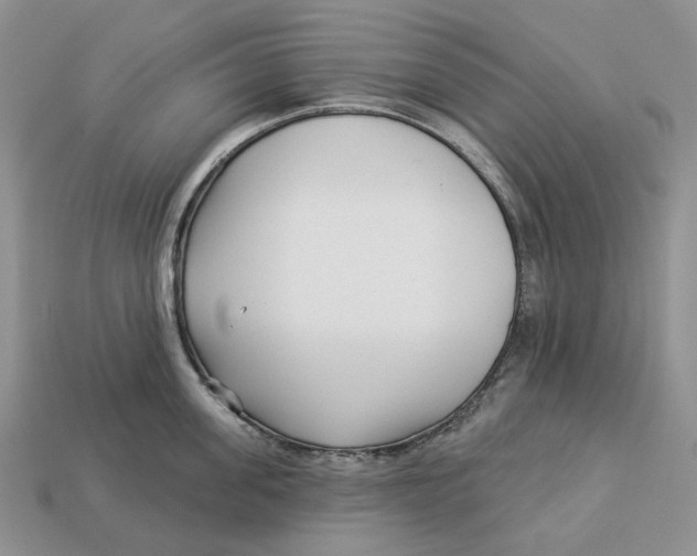 X0000112940955200909211131