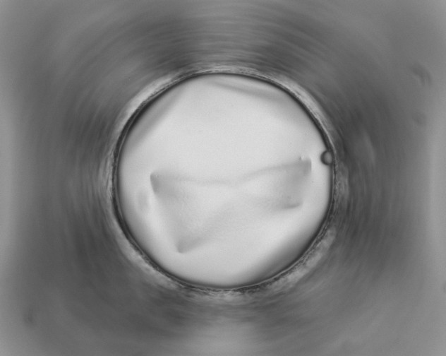 X0000112940957200909211131