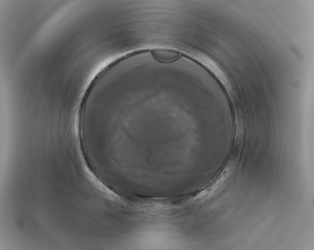 X0000112940958200909211131