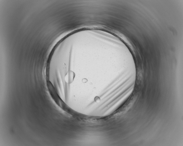 X0000112940959200909211131