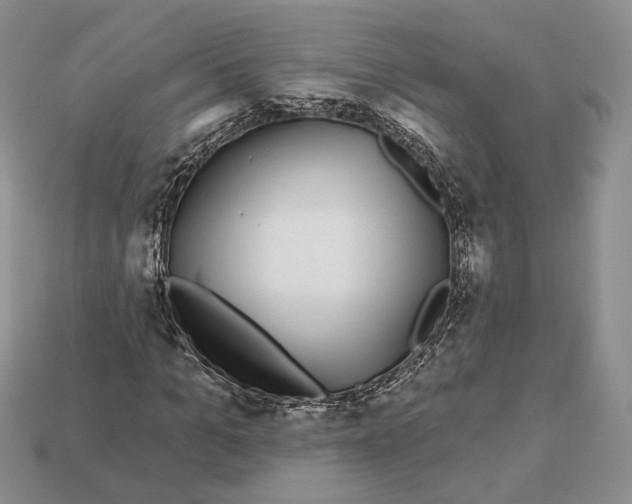 X0000112940965200909211130
