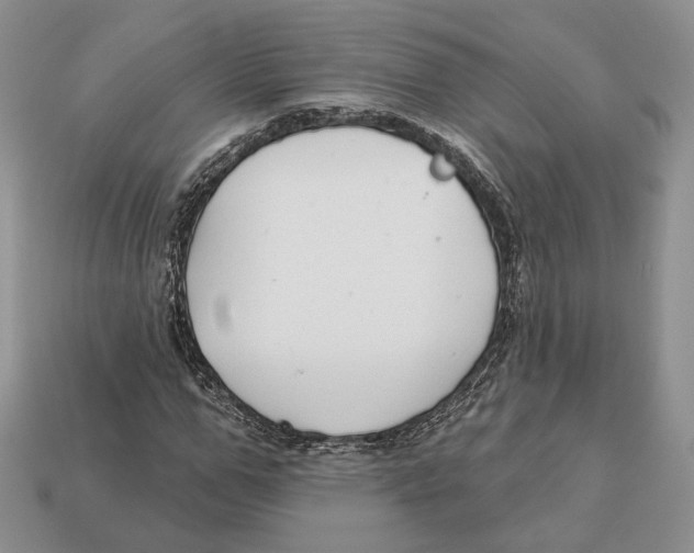 X0000112940967200909211130