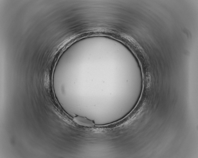 X0000112940969200909211130