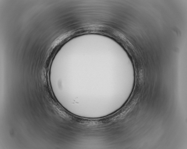 X0000112940970200909211130