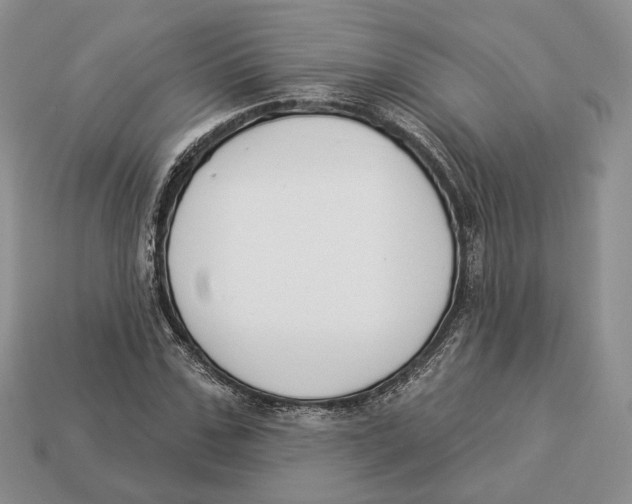 X0000112940971200909211130