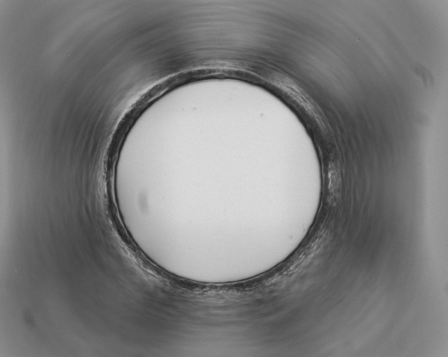 X0000112940972200909211130