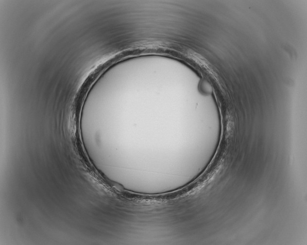 X0000112940973200909211130